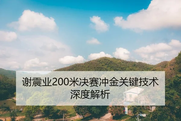 谢震业200米决赛冲金关键技术深度解析