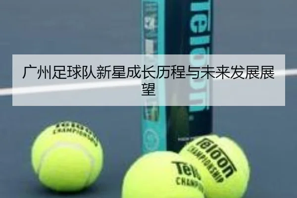 广州足球队新星成长历程与未来发展展望