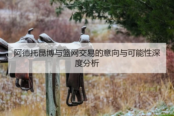 阿德托昆博与篮网交易的意向与可能性深度分析